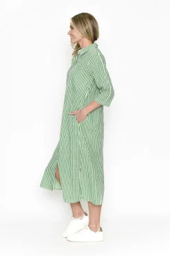 Fashion Express Sofia Shirt Dress | Green Stripe